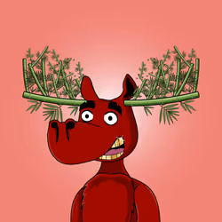 55