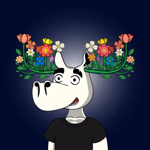 Doyoumoose
