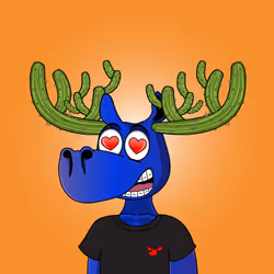 555