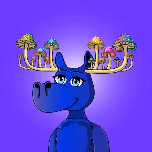 Doyoumoose