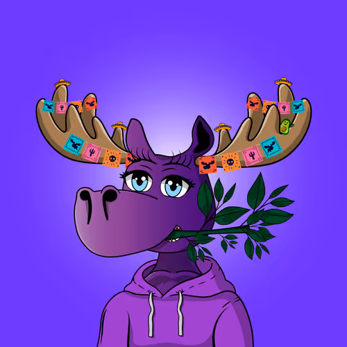 Doyoumoose