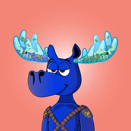 Doyoumoose