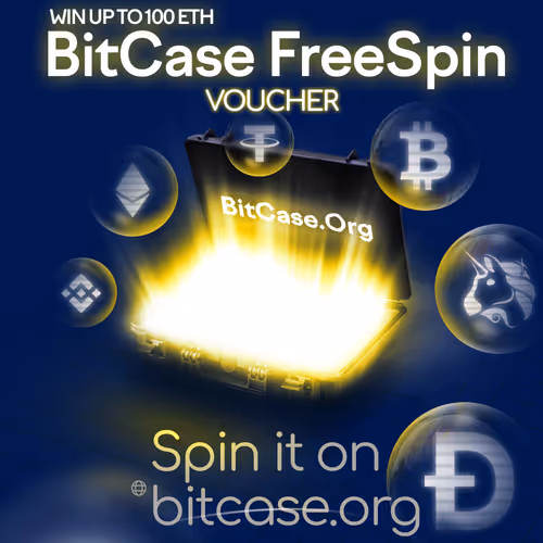 BitCase Voucher #217