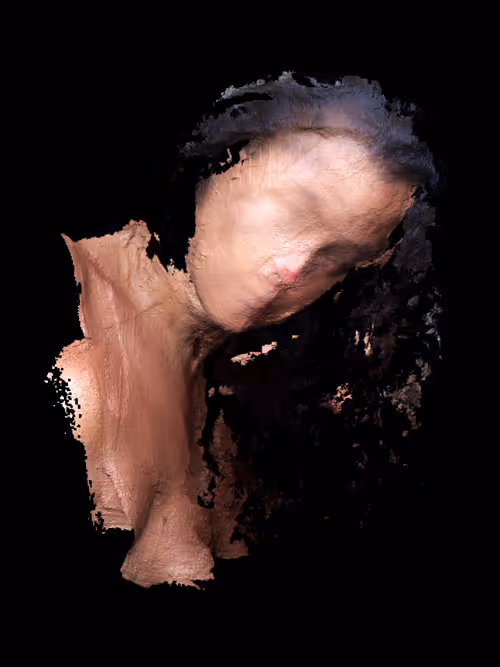 Item #397165057 Media