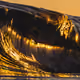 Shallow Gold