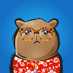 Rufus #822