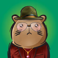 Rufus #569
