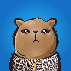 Rufus #884