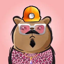Rufus #620