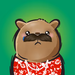 Rufus #537