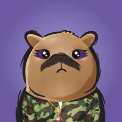 Rufus #383