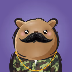 Rufus #788