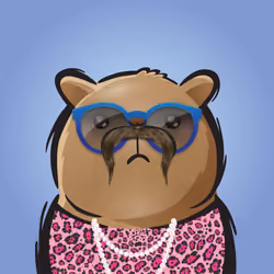 Rufus #293