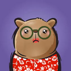 Rufus #553