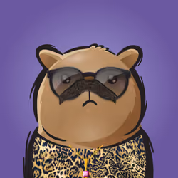 Rufus #201