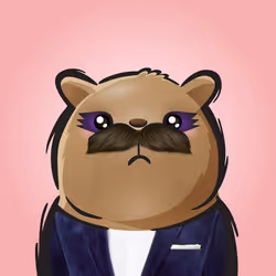 Rufus #339