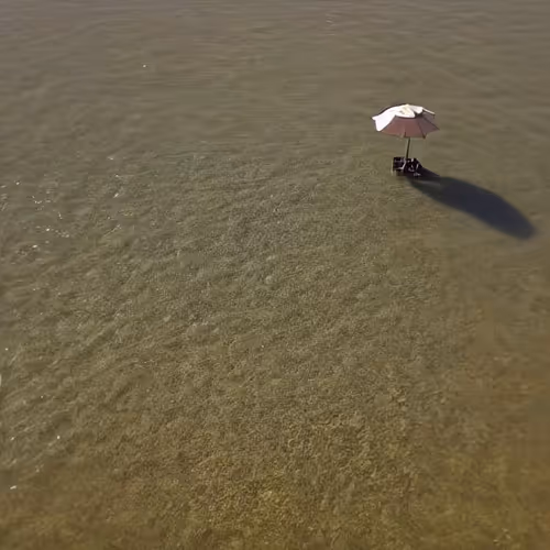 The Dream Against The Ringing
