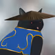 6550