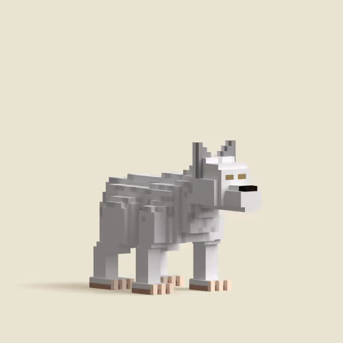 Wolf - Closed Mouth VOX #612