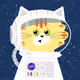 SugarWaterCat #002