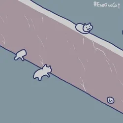 verydayOneCat  #230