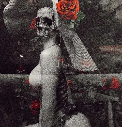 Red Roses 719047362