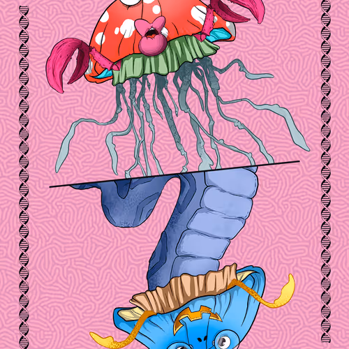 Evolution Playing Cards V2