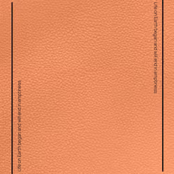 Evo PC #0835