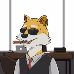 11