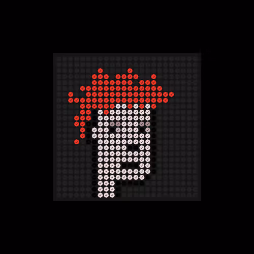 Checkpunks