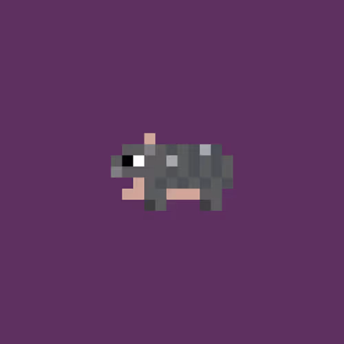 Moo Deng Smol