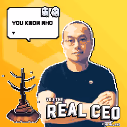 The Real CEO Cert #482