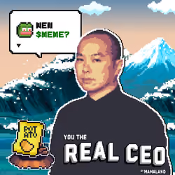 The Real CEO Cert #1257