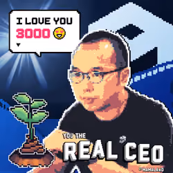 The Real CEO Cert #1077