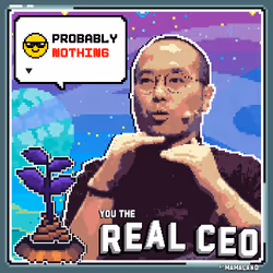The Real CEO Cert #1022
