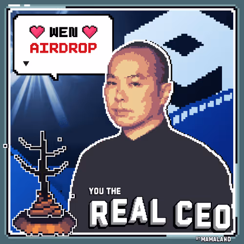You The Real Ceo