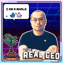 The Real CEO Cert #1739