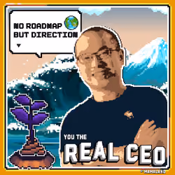 The Real CEO Cert #480