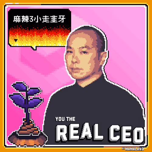 You The Real Ceo