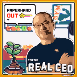 The Real CEO Cert #360