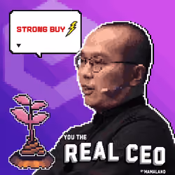 The Real CEO Cert #1024
