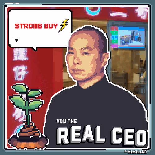 The Real CEO Cert #1298