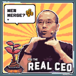 The Real CEO Cert #361