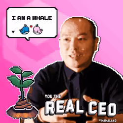 The Real CEO Cert #1260