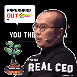 The Real CEO Cert #1206