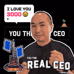 The Real CEO Cert #484