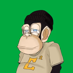 Crypto Chimp #1246