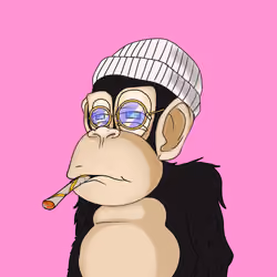 Crypto Chimp #1507