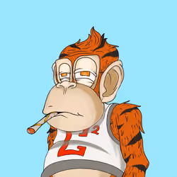 Crypto Chimp #44