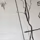 92
